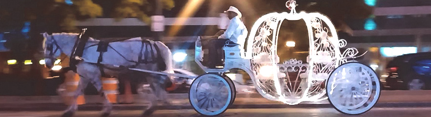 Fantasy Carriages Cinderella Carriage